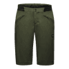 Fernflow Shorts Homme